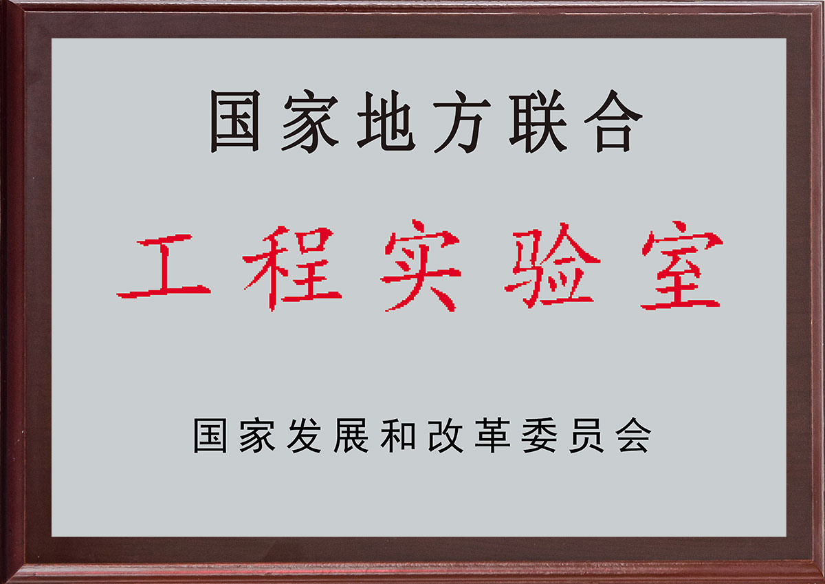 國(guó)家地方聯(lián)合工程實(shí)驗(yàn)室
